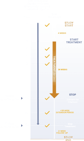 Schematic of phase 3 safety study design showing study start and end, duration, nasal endoscopies, daily e-diary and migraine diary duration, and patient questionnaire times